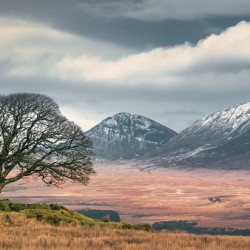 DBP Paps of Jura POD