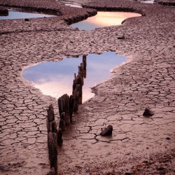 Snettisham Salt Marsh