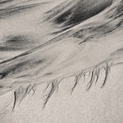 Dailbeag Sand Patterns Study 1