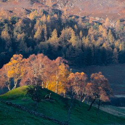 Autumn in Glenshee