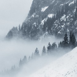 Snowy Day in the Alps