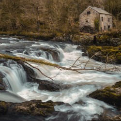 Cenarth Watermill