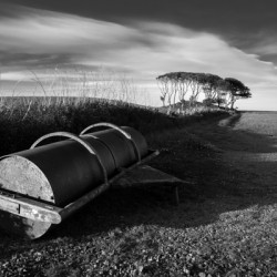 Crawton Field Roller