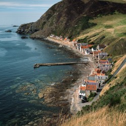Crovie