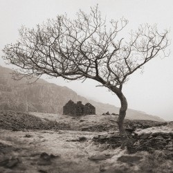 Dinorwic Quarry Ruin