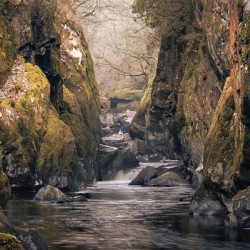 Fairy Glen