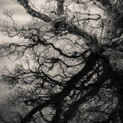 Lochan Na Cuilce Reflections