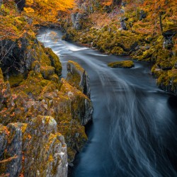 River Esk at Autumn