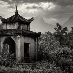 Vietnamese Shrine