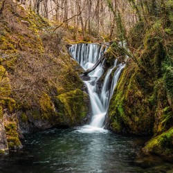 Woodland Waterfall