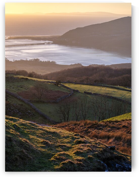 Barmouth View by Dave Bowman