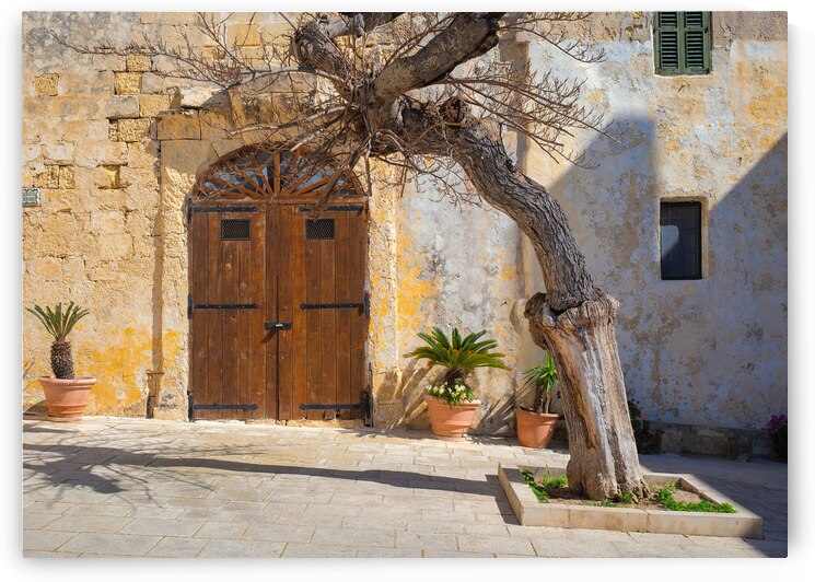 Pjazza Mesquita Mdina by Dave Bowman