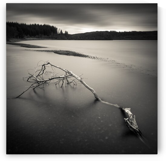 Loch Avich Branch by Dave Bowman
