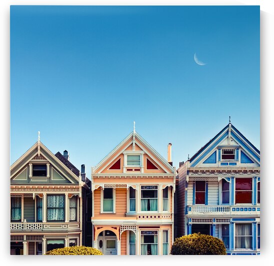 Painted Ladies by Dave Bowman