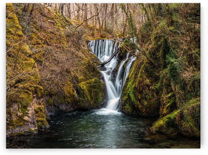 Woodland Waterfall by Dave Bowman