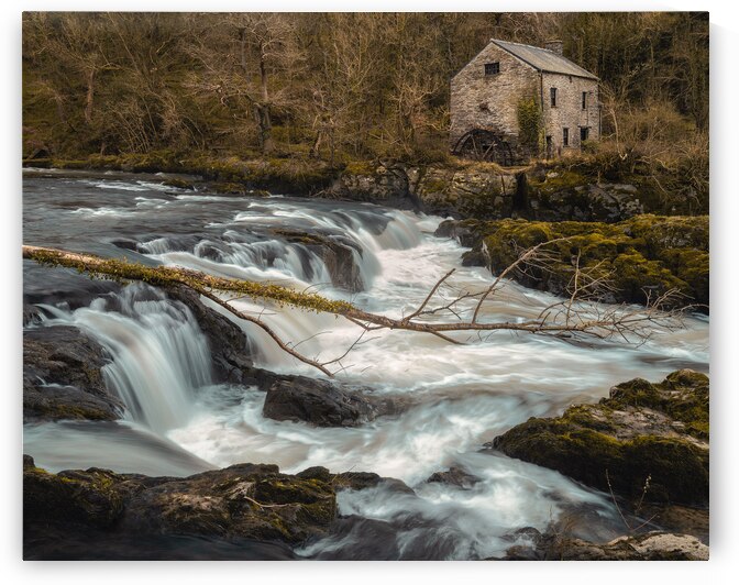 Cenarth Watermill by Dave Bowman