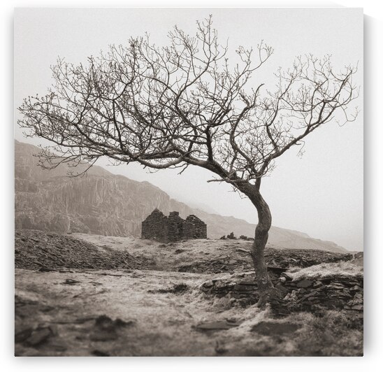 Dinorwic Quarry Ruin by Dave Bowman