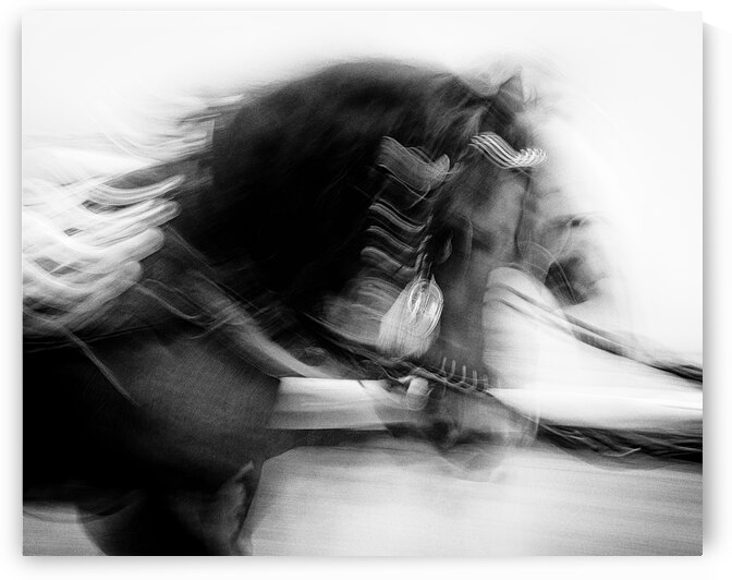 City Horses by Dave Bowman