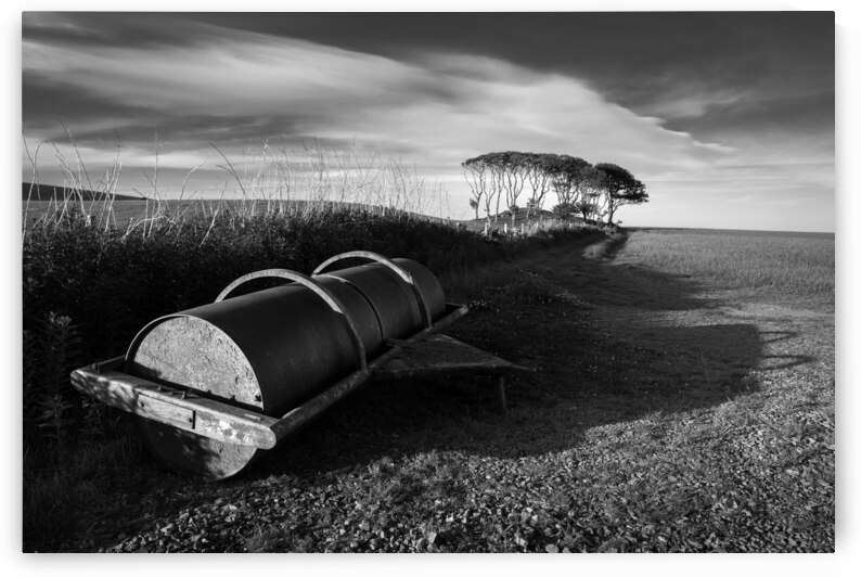 Crawton Field Roller by Dave Bowman