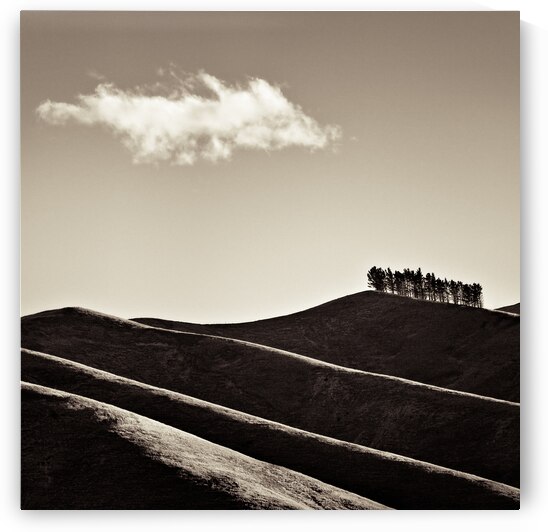 Solitary Cloud by Dave Bowman