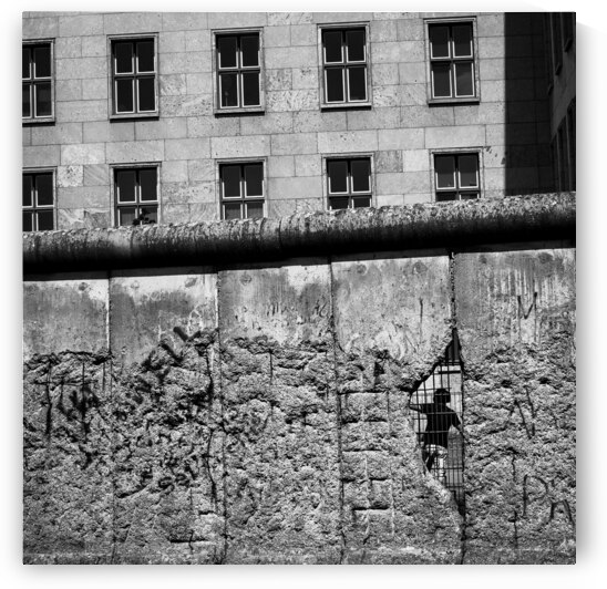 Beyond the Wall by Dave Bowman