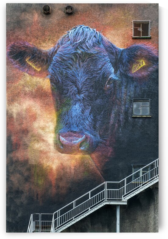 Ballymoney Cow Mural by Dave Bowman
