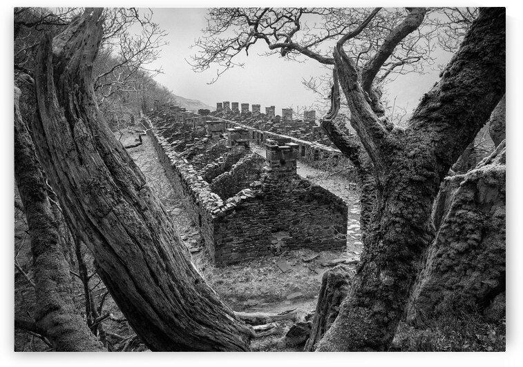 Anglesey Barracks by Dave Bowman