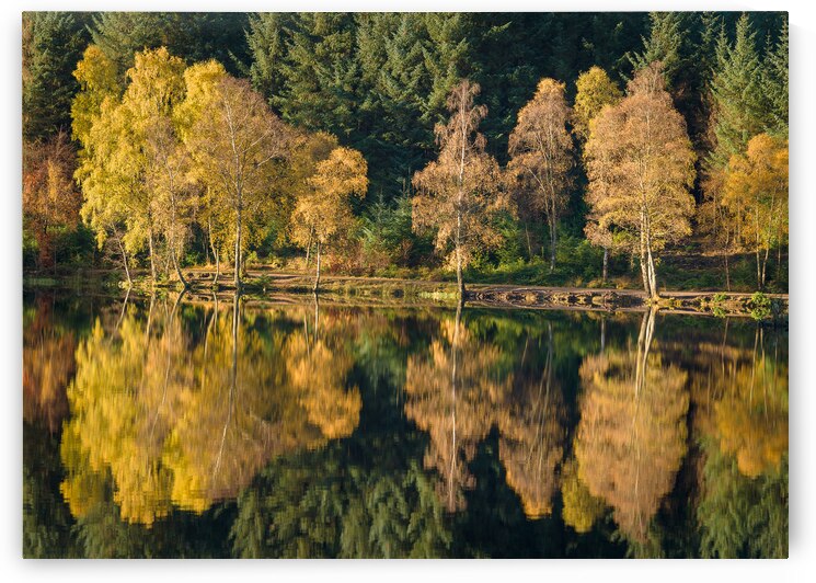 Autumn on Glencoe Lochan by Dave Bowman