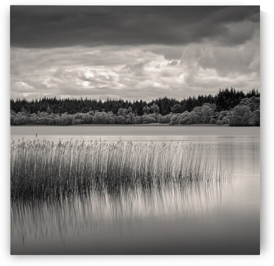 Lake of Menteith by Dave Bowman