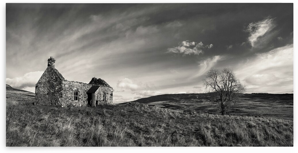 Old Cottage and Tree by Dave Bowman