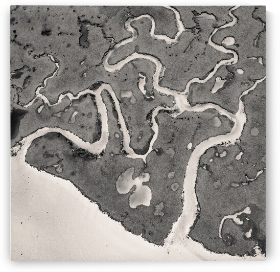Salt Marsh Channels by Dave Bowman