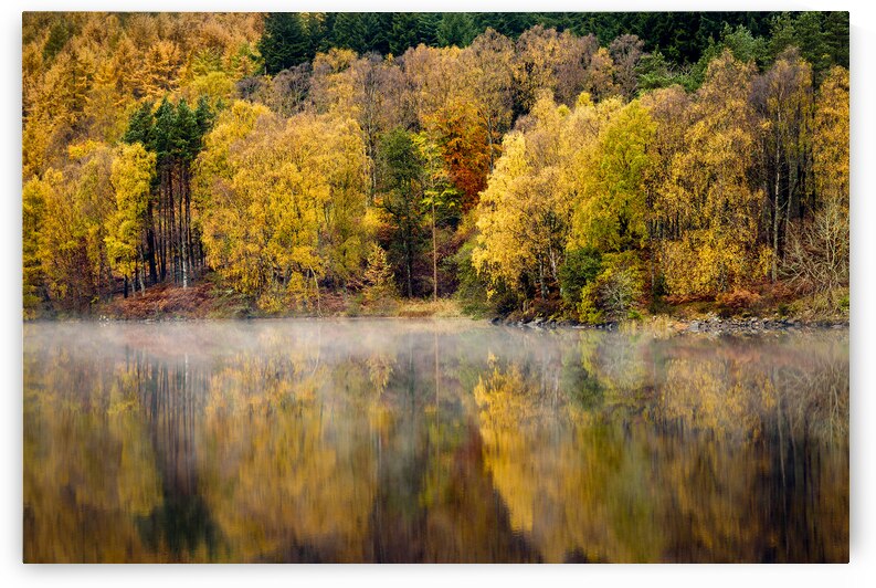 Autumn on River Tummel by Dave Bowman