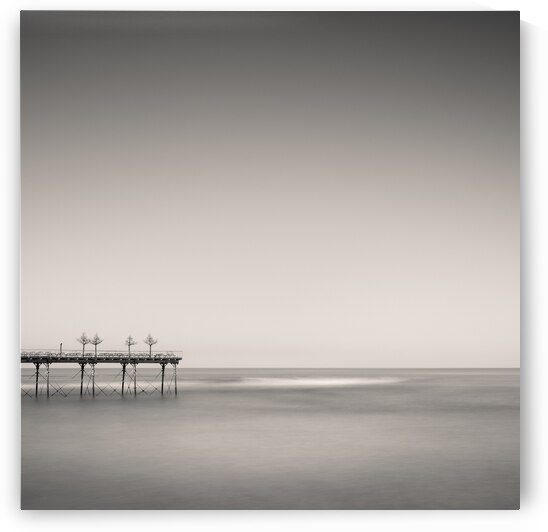 Four Trees on a Pier by Dave Bowman