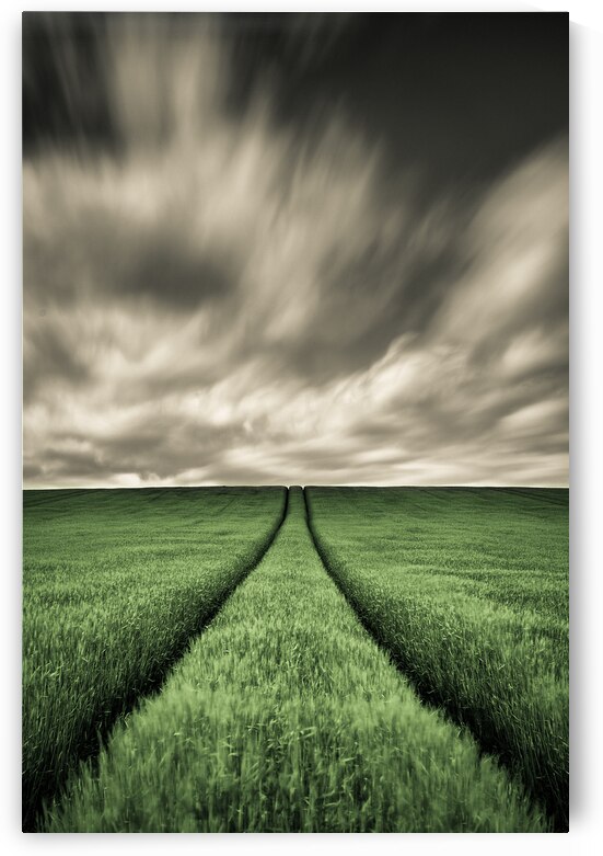 Field Tracks by Dave Bowman