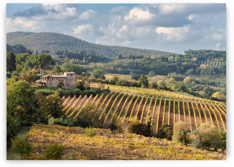 Tuscan Valley by Dave Bowman