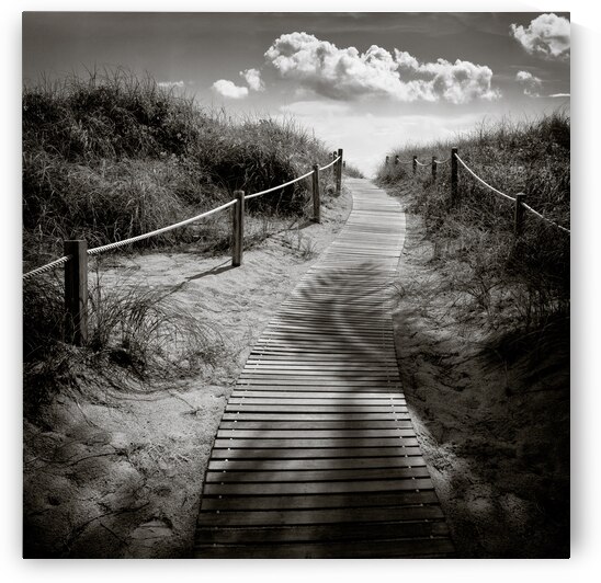 To the Beach by Dave Bowman