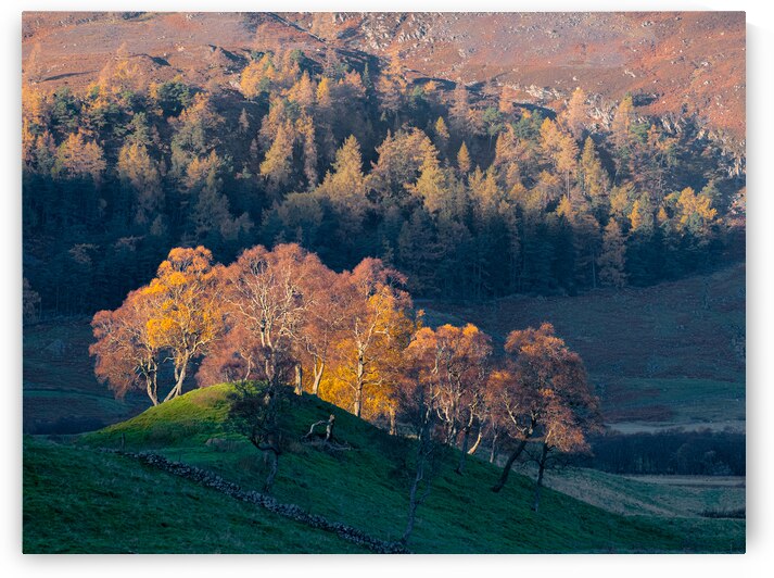 Autumn in Glenshee by Dave Bowman