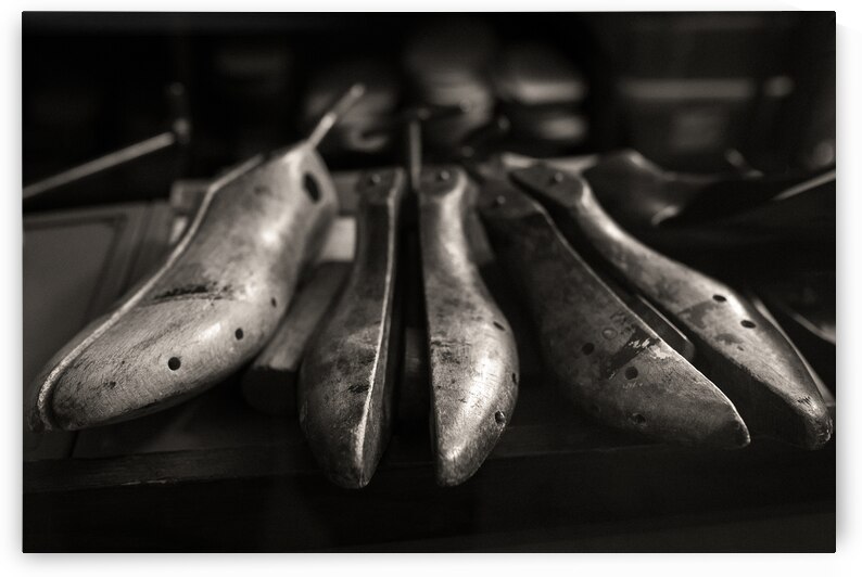 Vintage Shoe Lasts by Dave Bowman