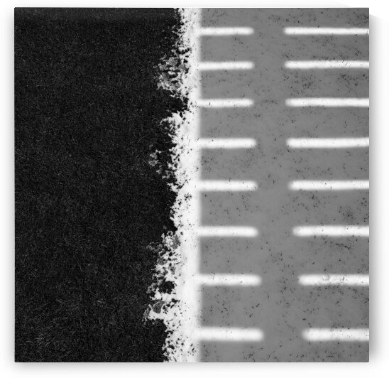 Fence Line by Dave Bowman