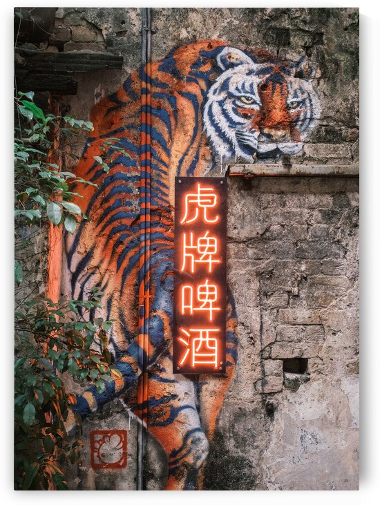 Wall Tiger by Dave Bowman