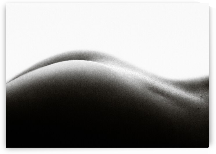 Nude Study No2 by Dave Bowman