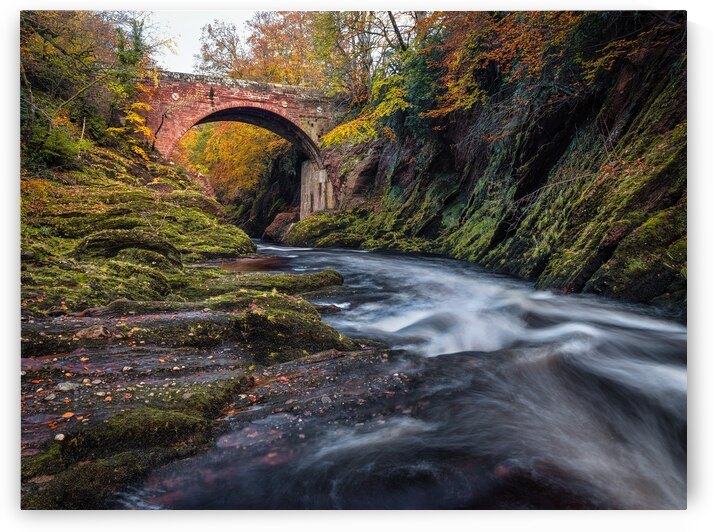 Autumn at Gannochy Bridge by Dave Bowman