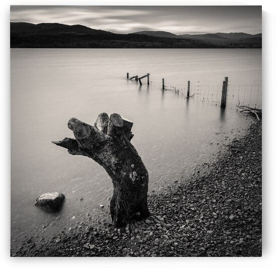 Limbless on Loch Rannoch by Dave Bowman