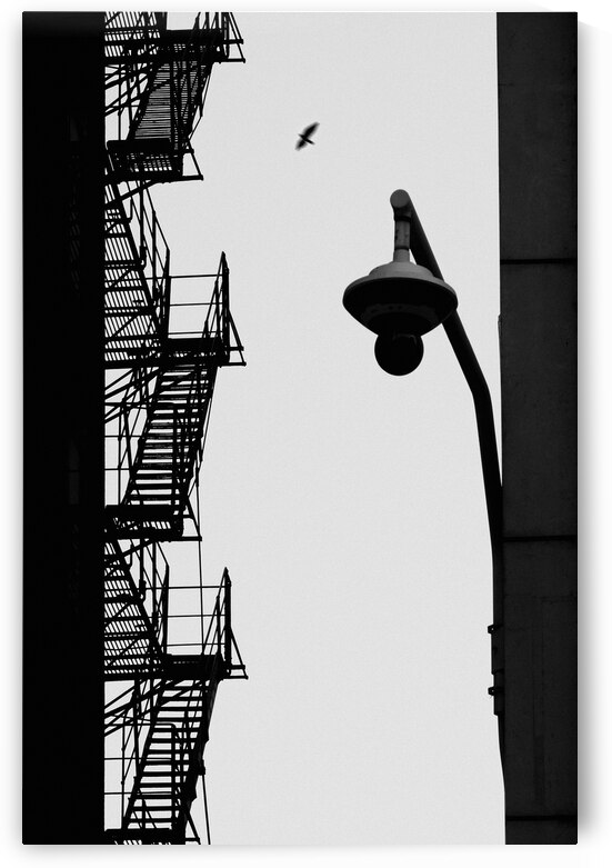 Alley Silhouettes by Dave Bowman