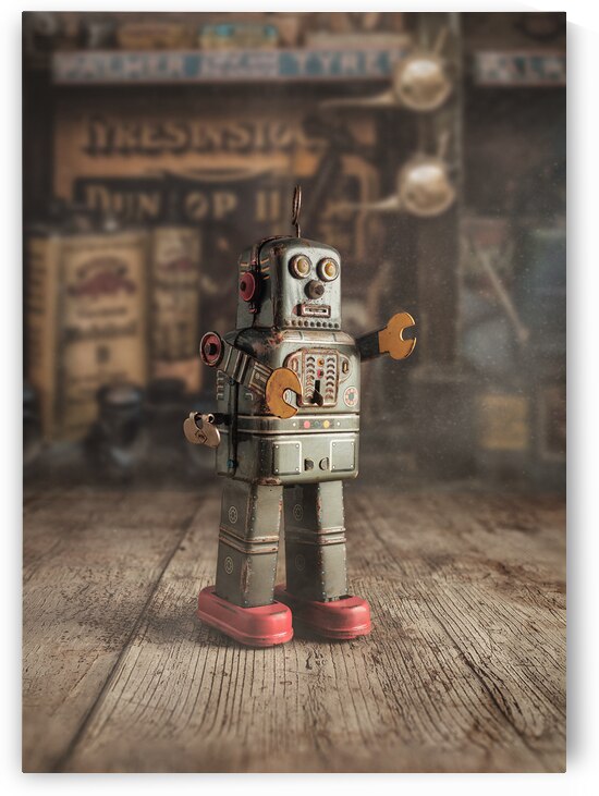 Toy Robot by Dave Bowman