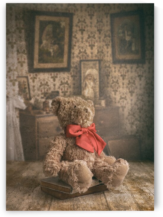 Bear and Books by Dave Bowman