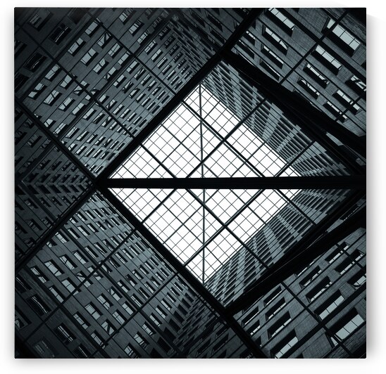 Ceiling of Light by Dave Bowman