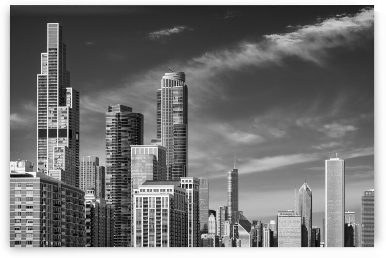 Chicago Loop by Dave Bowman