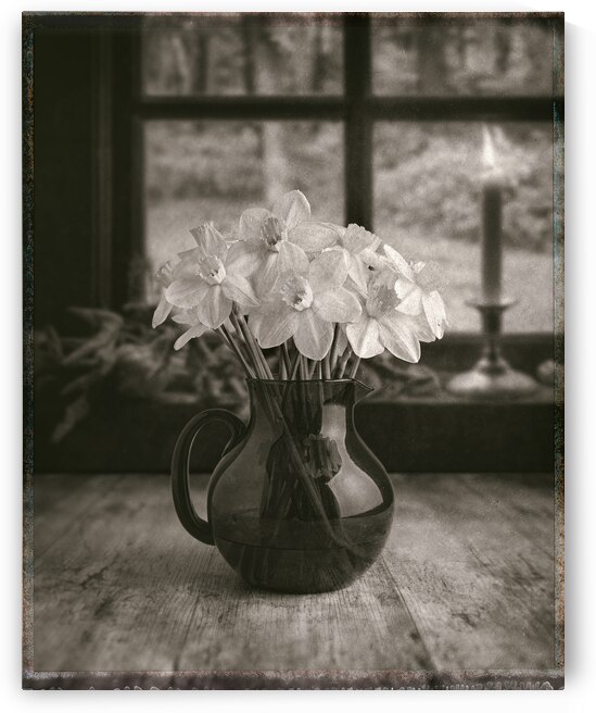 Daffodils by Dave Bowman