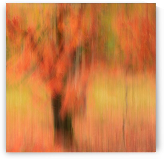 Autumn Mirage by Dave Bowman